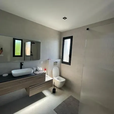 ヴィラ Neuve Piscine Privee